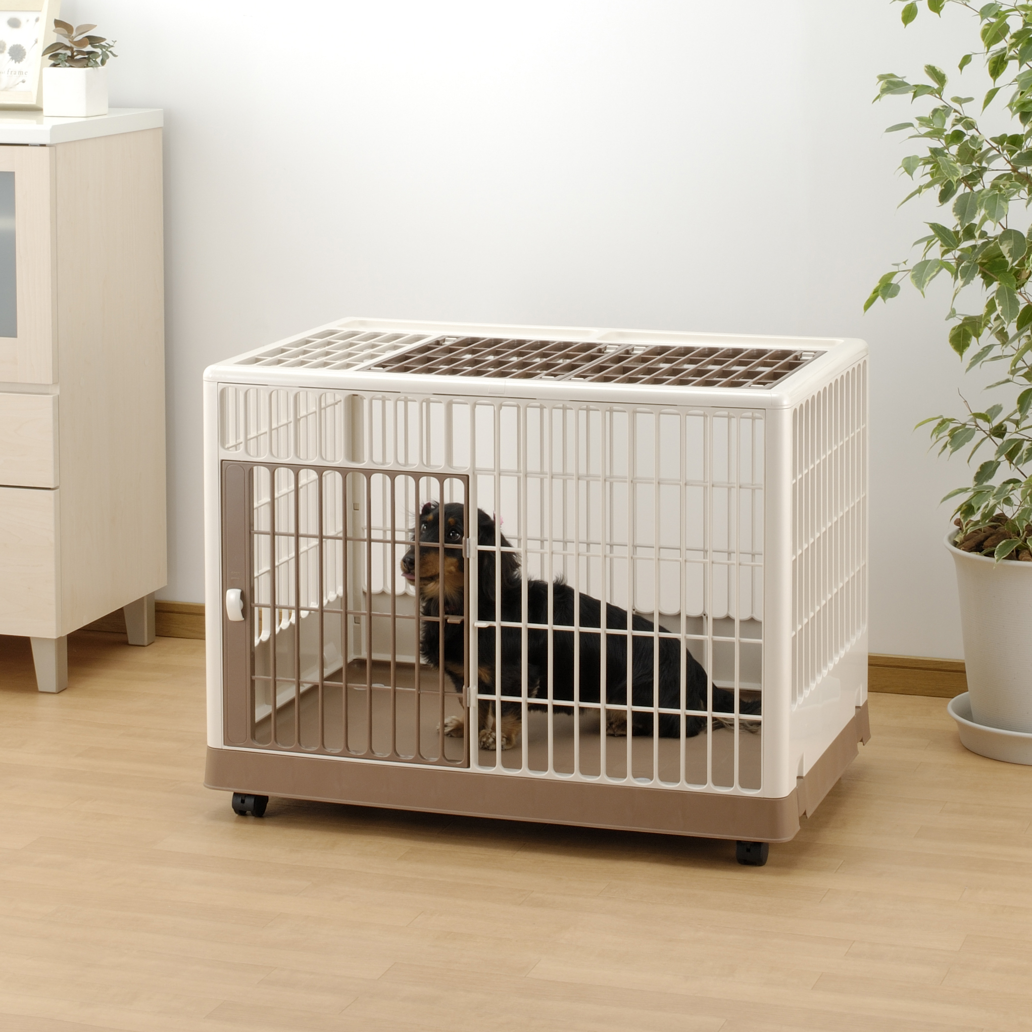 Why Crate Training is Important - Richell USA Inc.