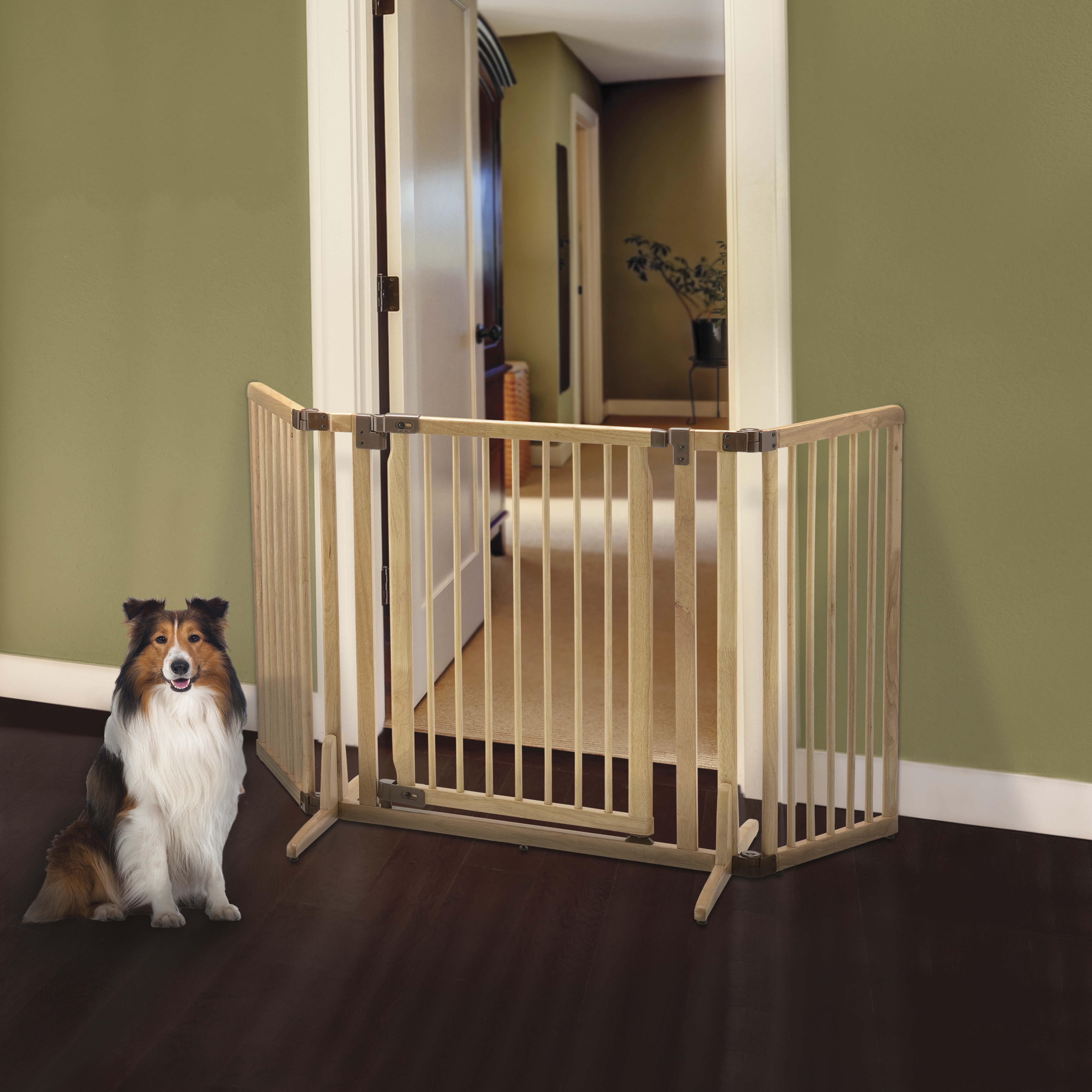 Richell premium plus freestanding best sale pet gate