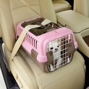 pet carrier strapped into car seat