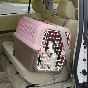 white and black spaniel in pink and brown bet carrier inside car