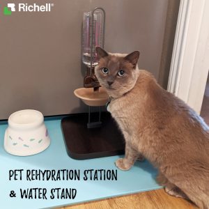 beige cat with blue eyes gets water from Richell water stand