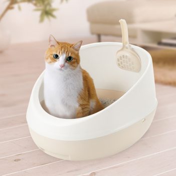 The Importance of a Clean Litter Box - Richell USA Inc.