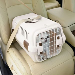 white dog carrier strapped in car