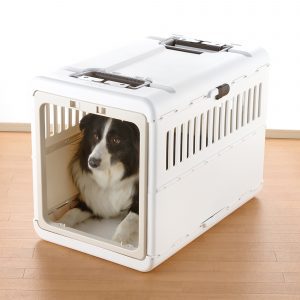 Collie dog inside white dog carrier