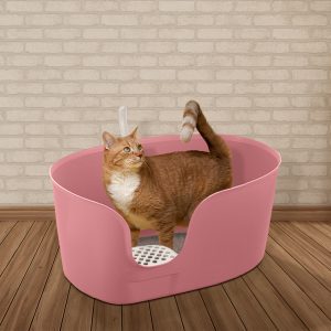 tan cat in pink kitty litter box