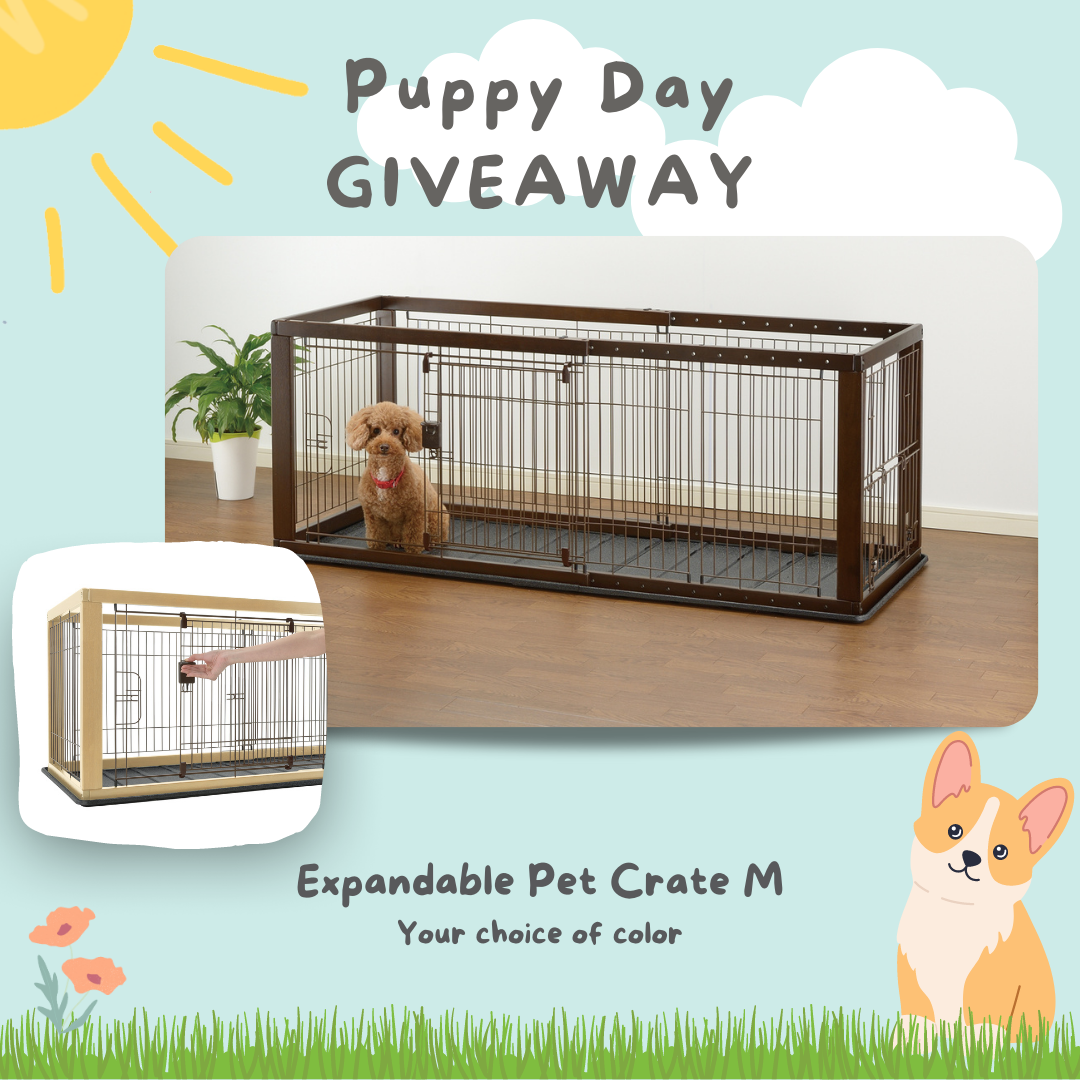 https://www.richellusa.com/wp-content/uploads/2023/03/Puppy-Day-giveaway.png