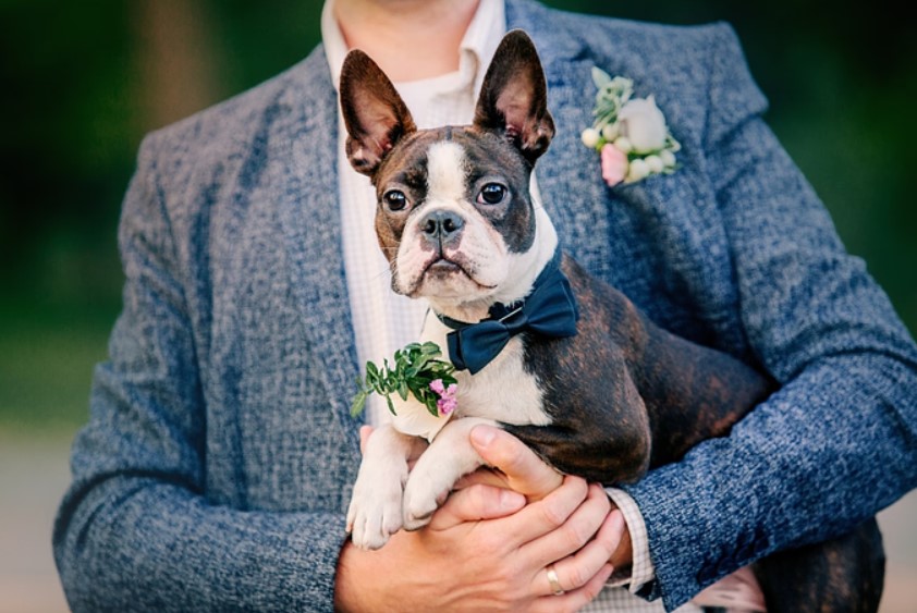 DOs and DON’Ts for Dogs at Weddings