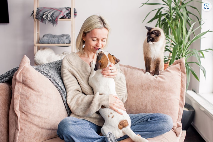 5 Tips for a Peaceful Cat and Dog Household